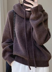 Brown Solid Cozy Wool Knit Sweater Hooded Spring