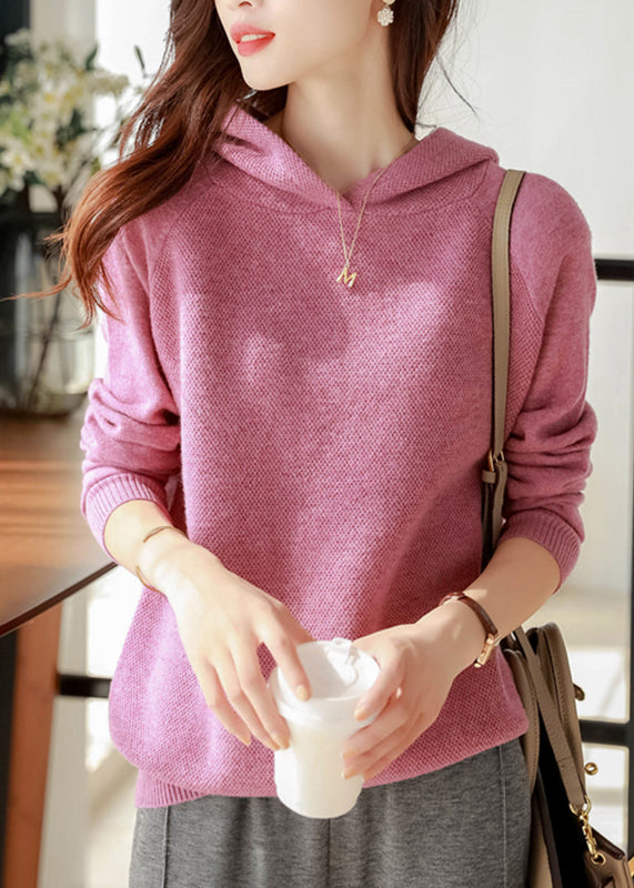 Classy Purple Woolen Hooded Pullover Sweatshirt Long Sleeve