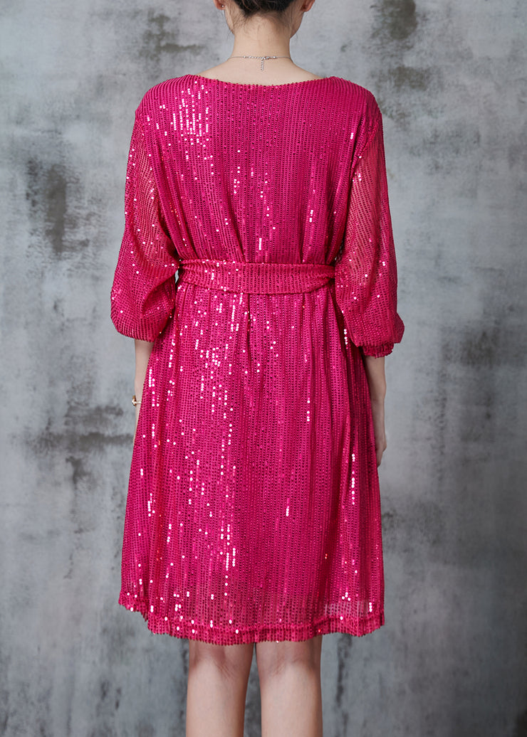 DIY Rose Sequins Tie Waist Tulle Day Dress Fall