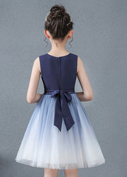 Lovely Navy Jacquard Slim Fit Tulle Baby Girls Dress Summer